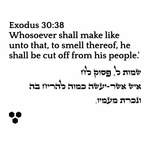 Item #698879688583445148445156 Media