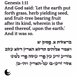 71697869837383444849444949