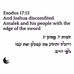 698879688583444955444951