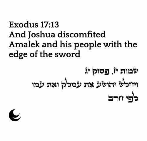 Item #698879688583444955444951 Media