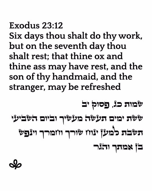 Item #698879688583445051444950 Media