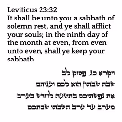 766986738473678583445051445150