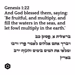 71697869837383444849445050