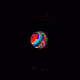 509