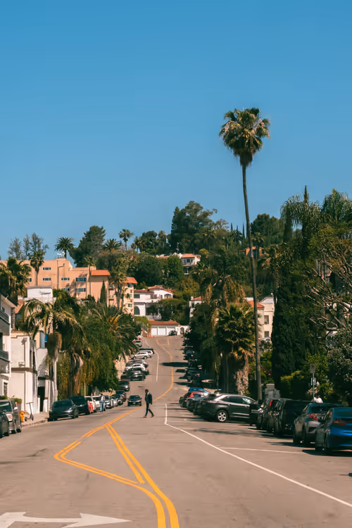 Item #8 Media