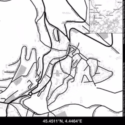 31