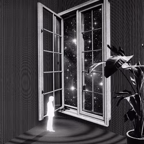 Voids2