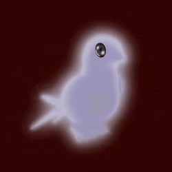 AURA PETZ #1766