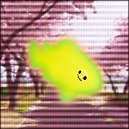 Milady Aura Petz