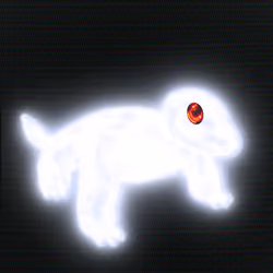 AURA PETZ #1024