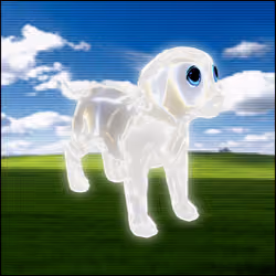 AURA PETZ #1678