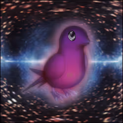 AURA PETZ #1197