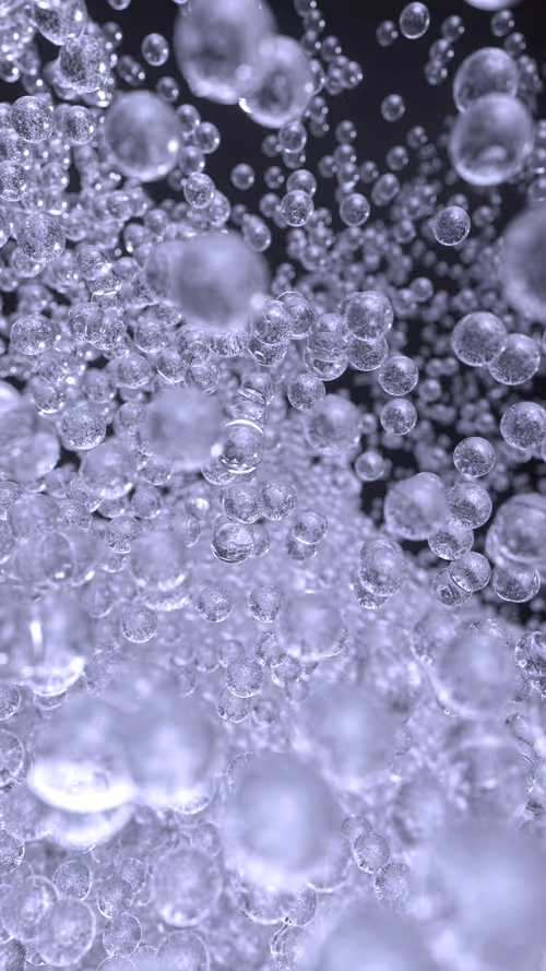 Item #6900020014 Media