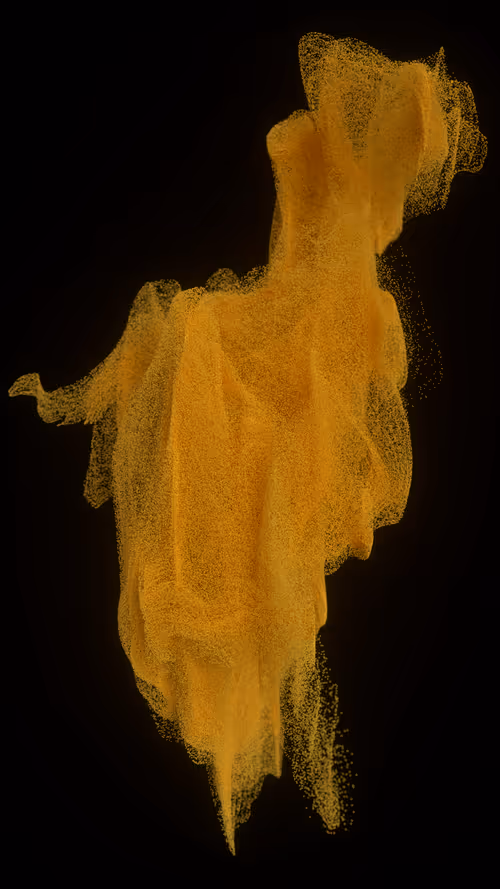 Item #6900010005 Media