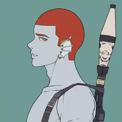 6733