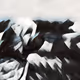 80