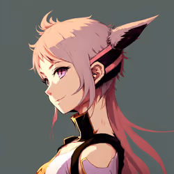 SHINOBIS