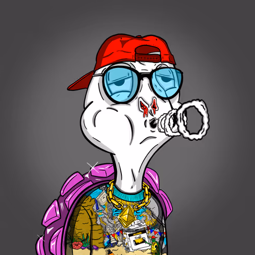 Baked Shellz