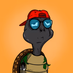 Baked Shellz #6063