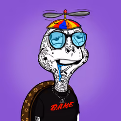 Baked Shellz #7317
