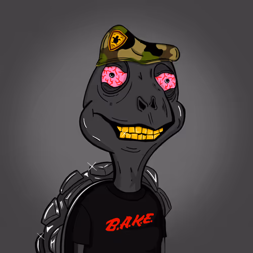 Baked Shellz