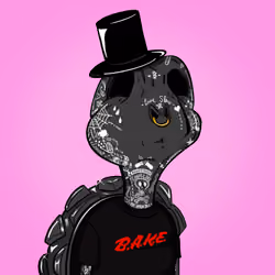 Baked Shellz #951