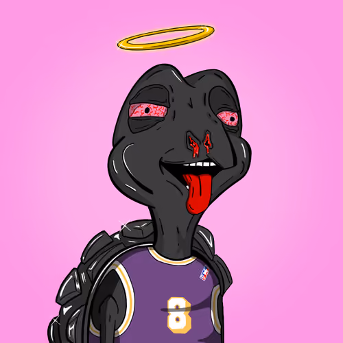 Baked Shellz #2393