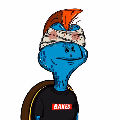 Baked Shellz