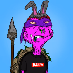 Baked Shellz #627
