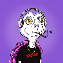 Baked Shellz #1059