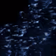 381
