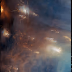 244