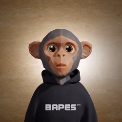Bapes Future #5131