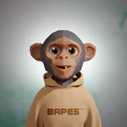Bapesfuture