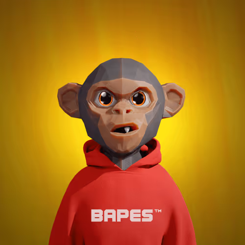 Bapesfuture