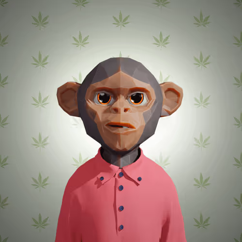 Bapesfuture