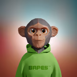 Bapes Future #1924