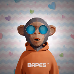 Bapes Future #9651