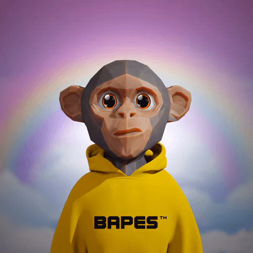 Bapes Future #9991