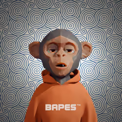 Bapes Future #1089