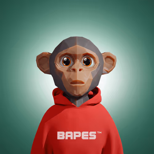 Bapesfuture