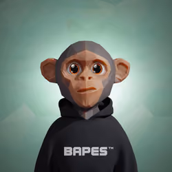 Bapes Future #1889