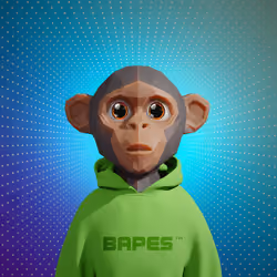 Bapes Future #9321