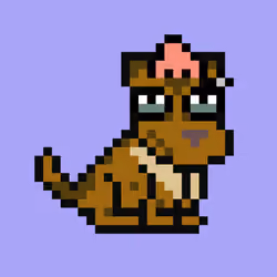 Pupz #1678