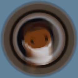 6266