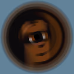 2055