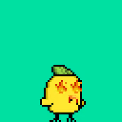 1691