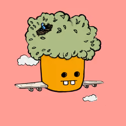 0xHead #6304