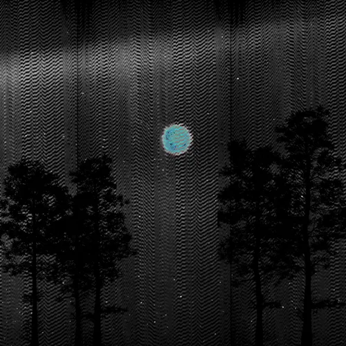 Item #8 Media
