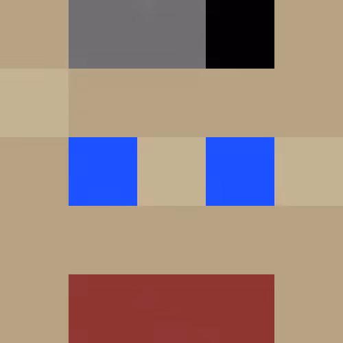 InChainPunks #502